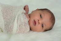 Newborn Photography